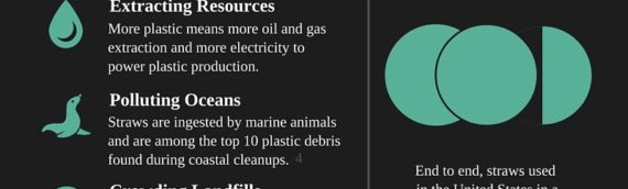 My Last Straw – for the environment!